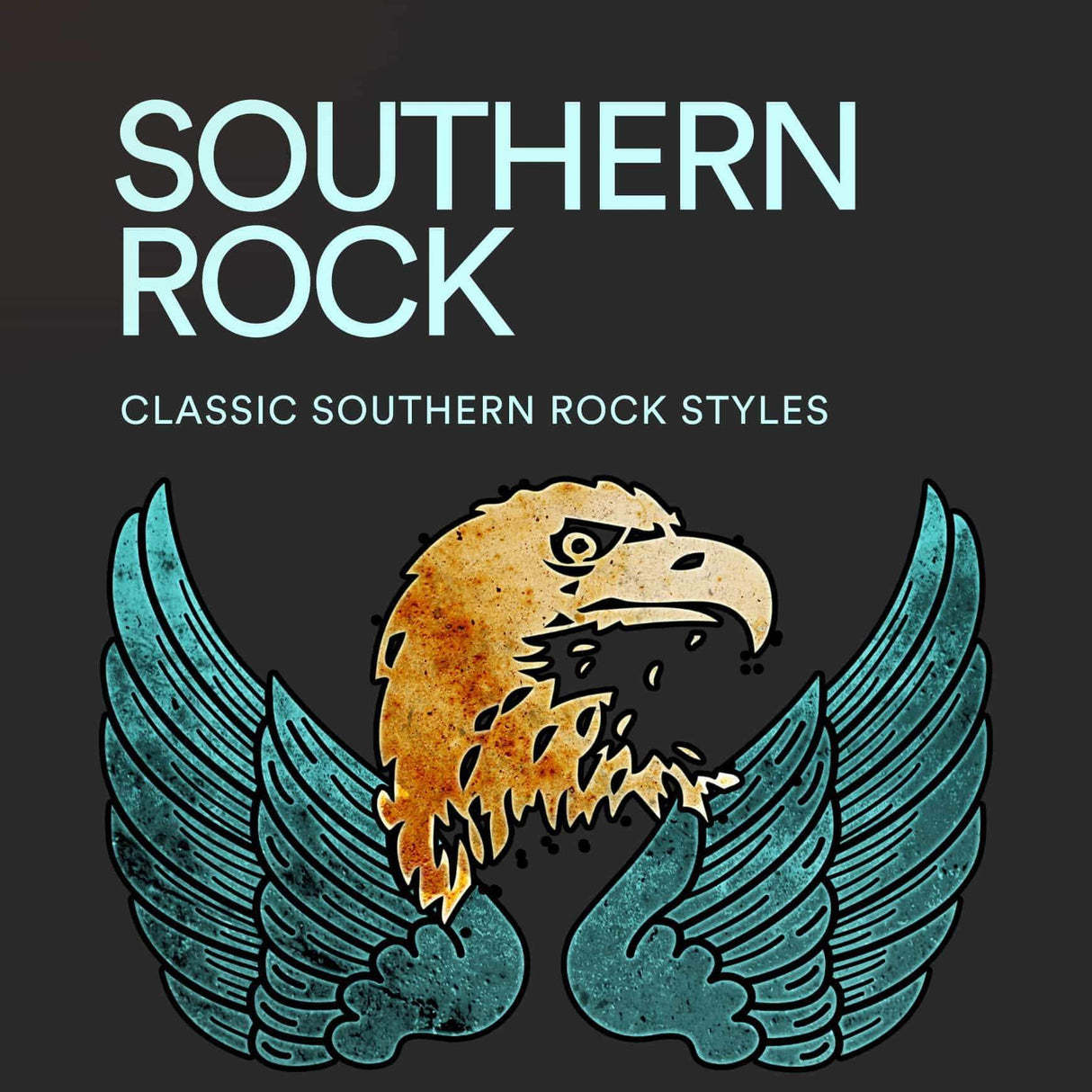 Southern Rock Drums
