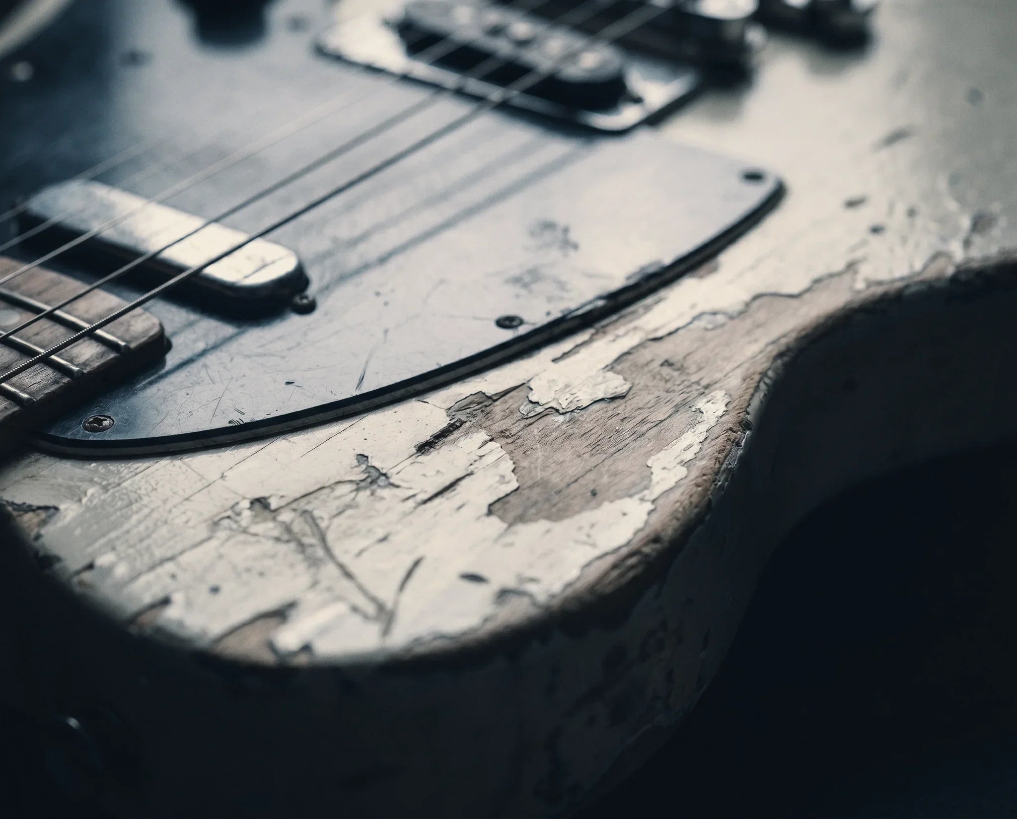 punk guitars sample packs and loop kits