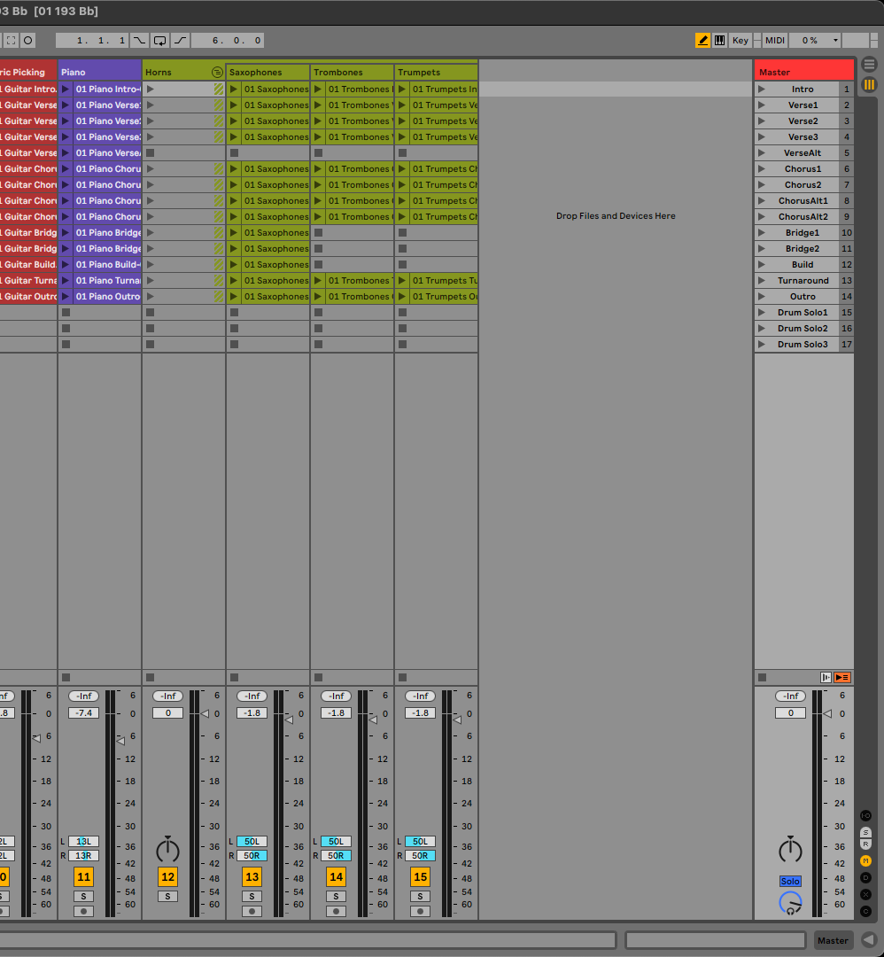 DAW screenshot placeholder - Ableton sections view