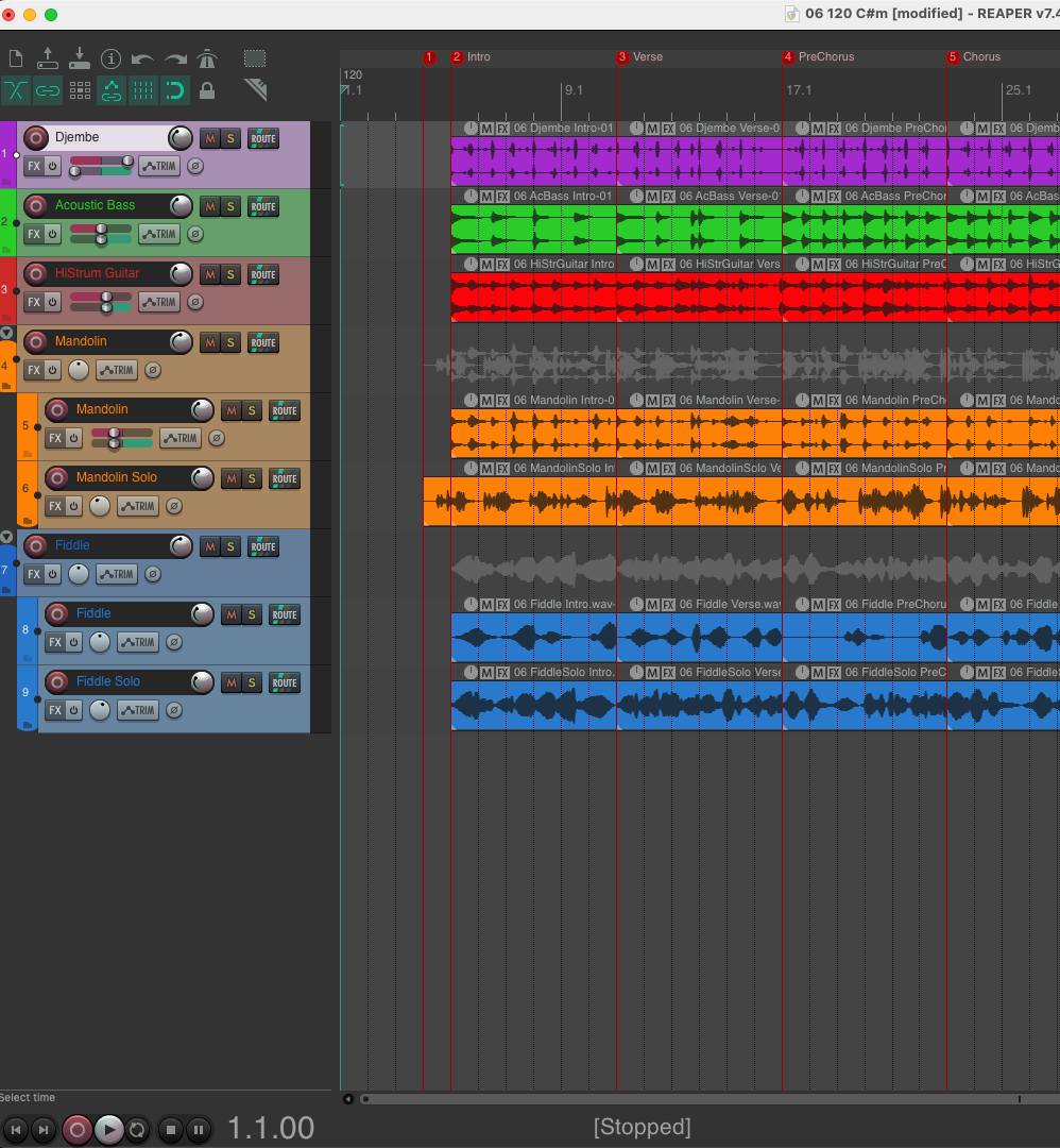 DAW screenshot placeholder - Reaper arrangement view