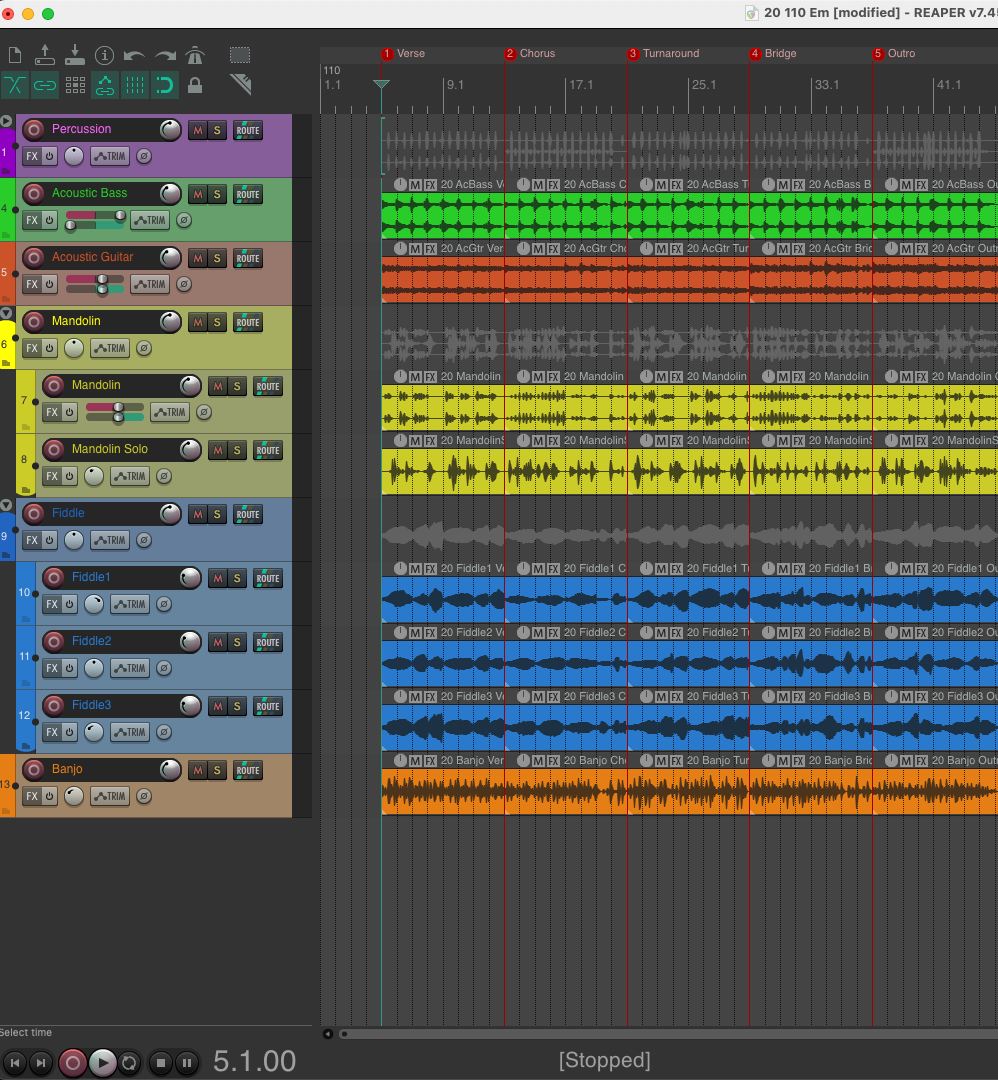 DAW screenshot placeholder - Reaper sections view