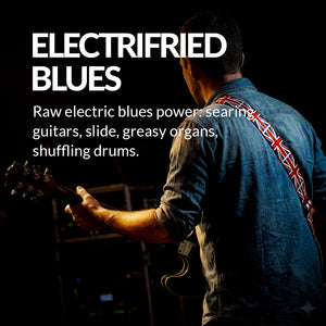 Electrifried Blues