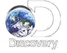 Discovery
